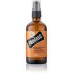 Proraso Λάδι Περιποίησης για Γένια Wood & Spice 100ml